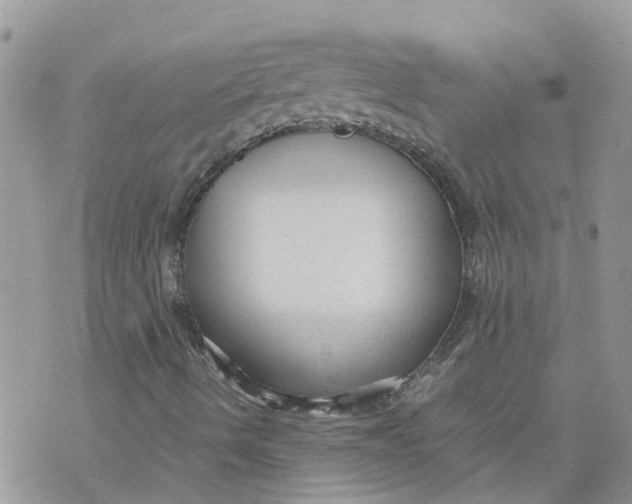 X0000070391490200606301933