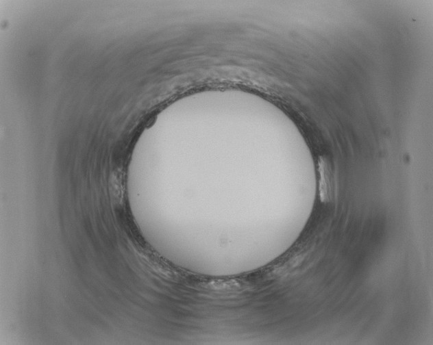 X0000070391491200606301933