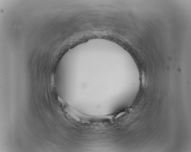 X0000070391492200606301933