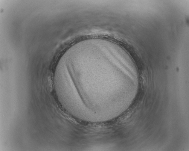 X0000070391493200606301933