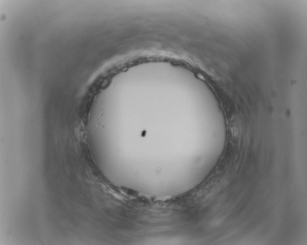 X0000070391495200606301933