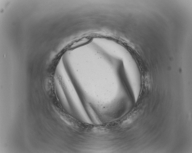 X0000070391496200606301933