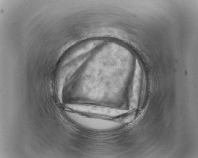 X0000070391497200606301933