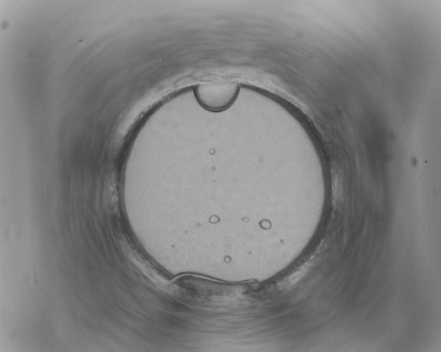 X0000070391498200606301933