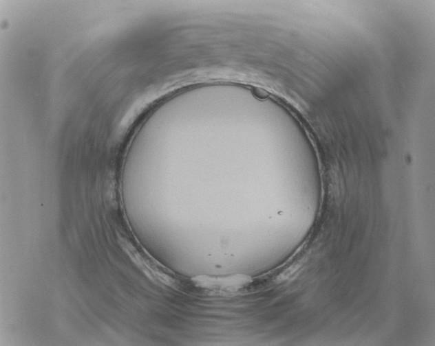 X0000070391499200606301933