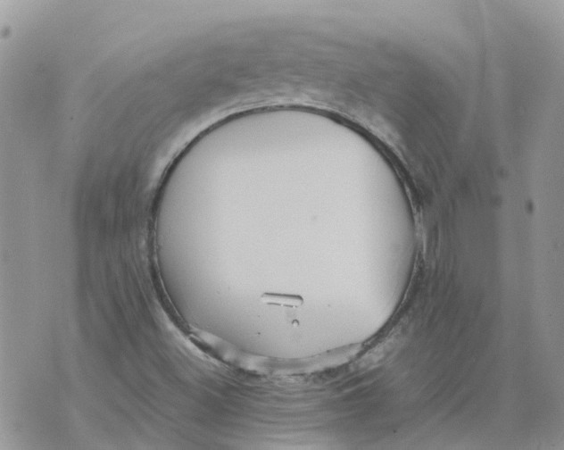 X0000070391500200606301933