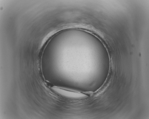 X0000070391501200606301933