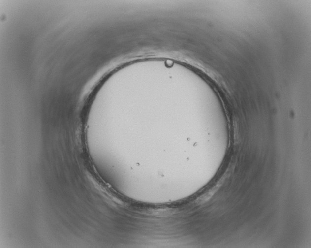 X0000070391502200606301933