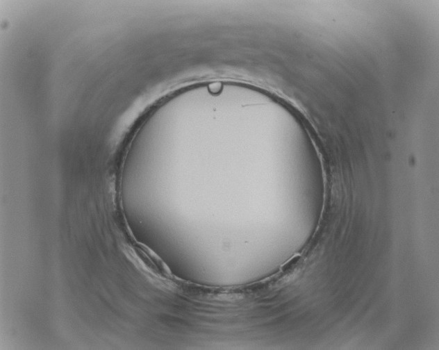 X0000070391503200606301933