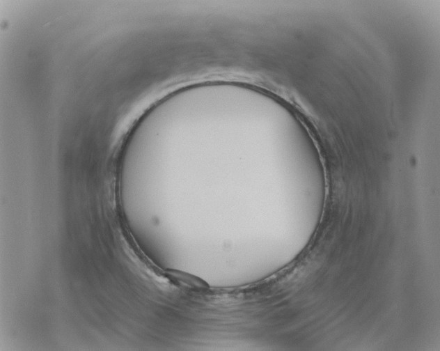 X0000070391504200606301933