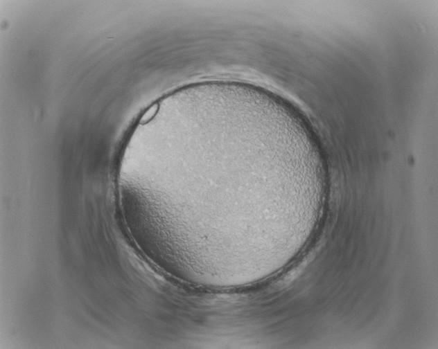 X0000070391506200606301933