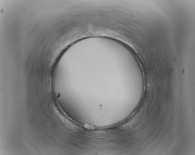 X0000070391507200606301933