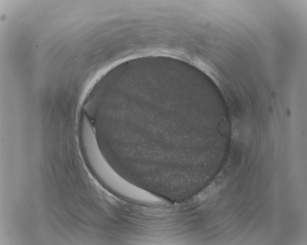 X0000070391508200606301933