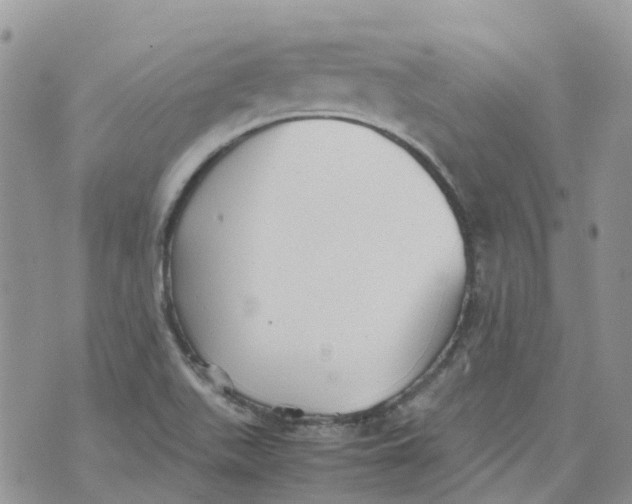 X0000070391511200606301933