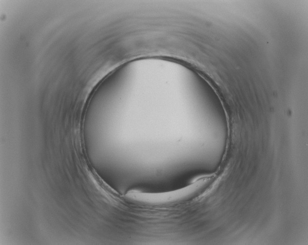 X0000070391513200606301933