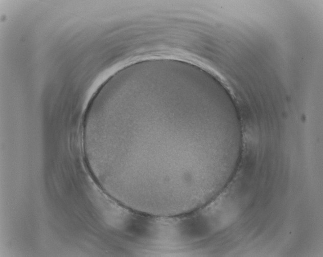 X0000070391514200606301933