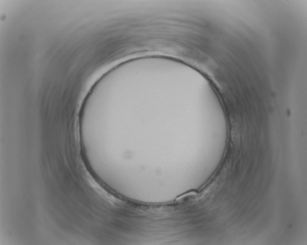 X0000070391516200606301933