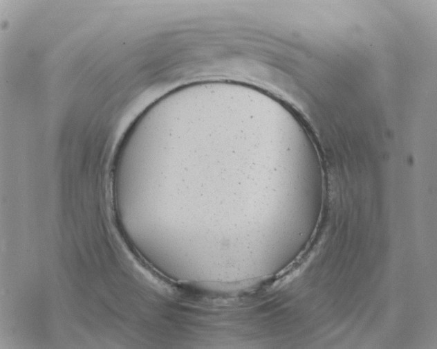 X0000070391517200606301933