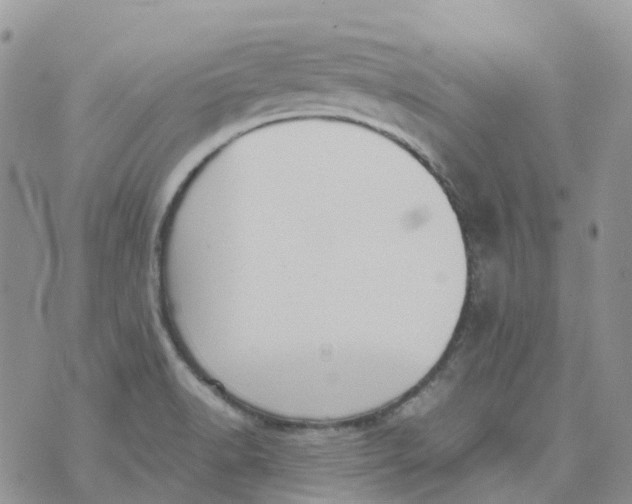 X0000070391518200606301933