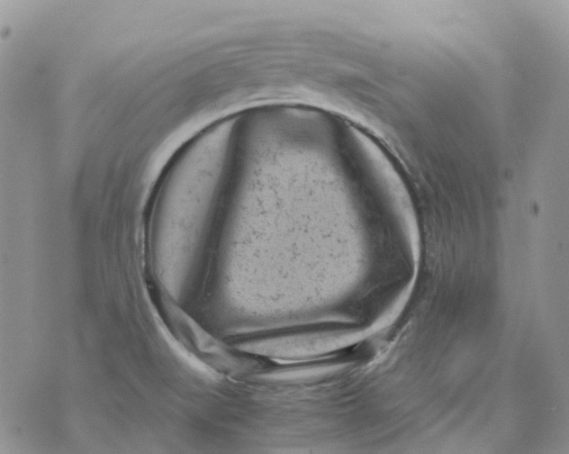 X0000070391519200606301933