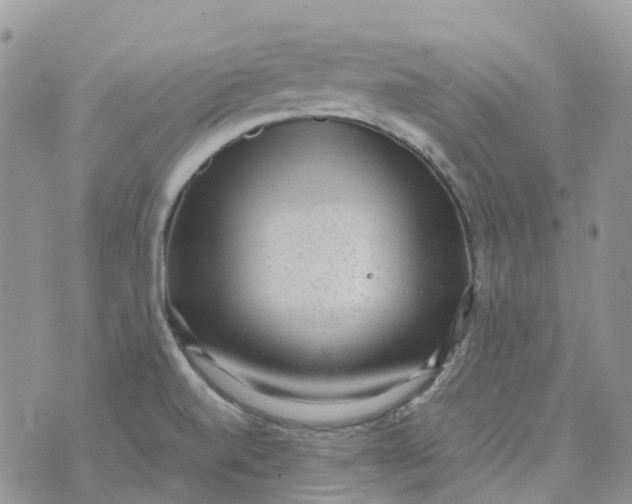 X0000070391520200606301933