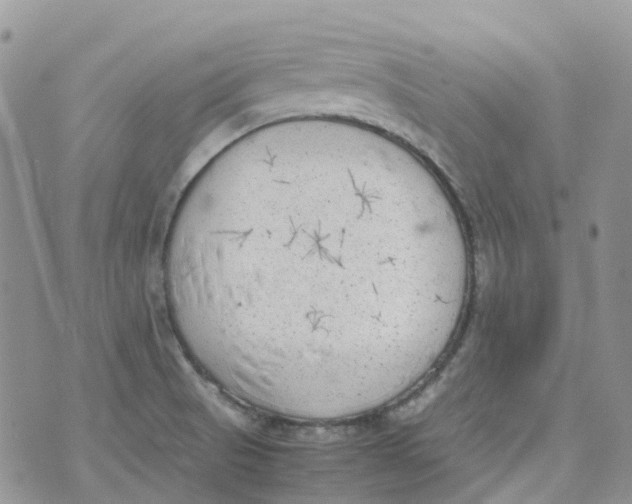 X0000070391521200606301933