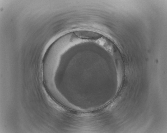 X0000070391522200606301933