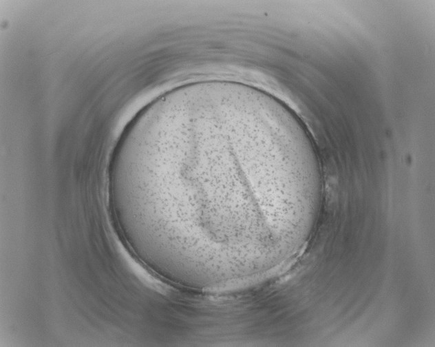 X0000070391523200606301933