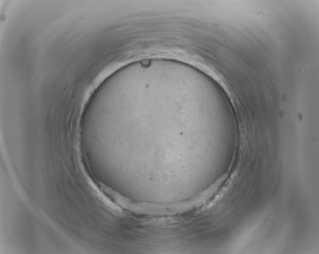 X0000070391525200606301933