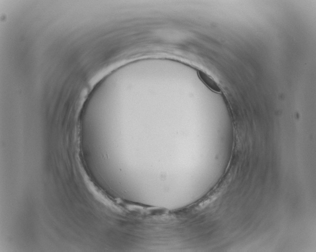 X0000070391526200606301933