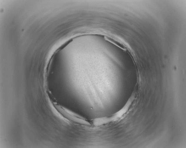 X0000070391528200606301934