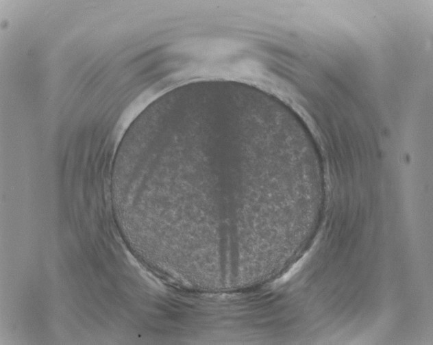 X0000070391529200606301934