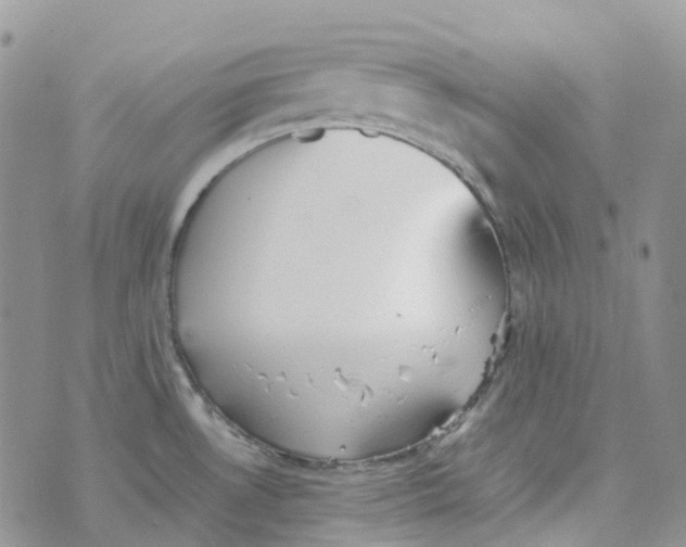 X0000070391530200606301934