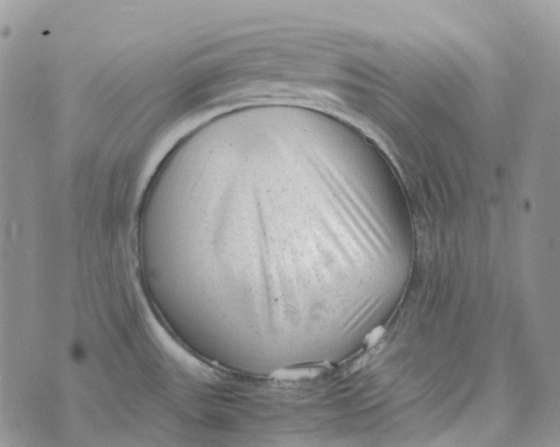 X0000070391531200606301934