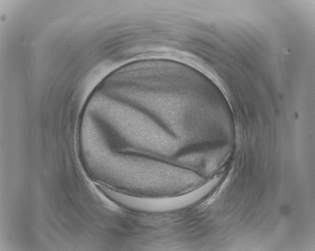 X0000070391533200606301934