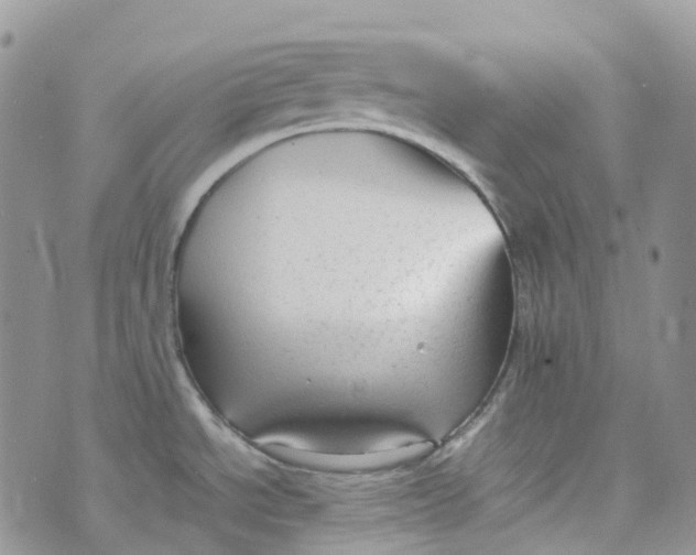 X0000070391534200606301934