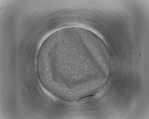 X0000070391535200606301934