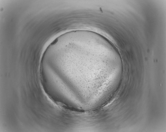 X0000070391536200606301934