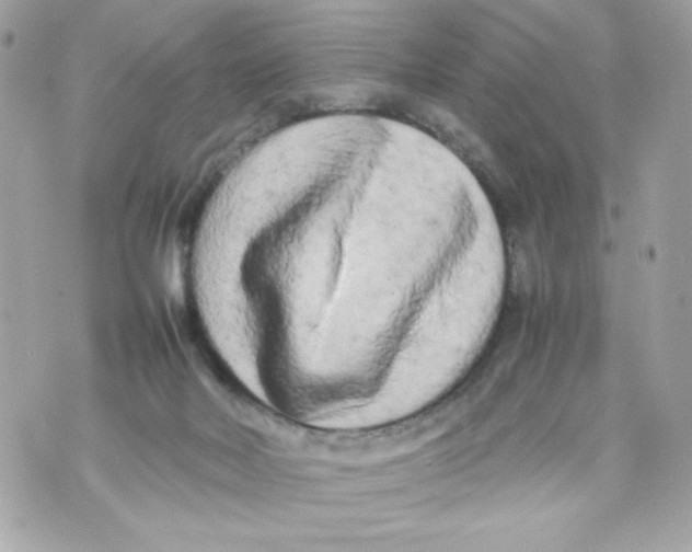 X0000070390026200607072230