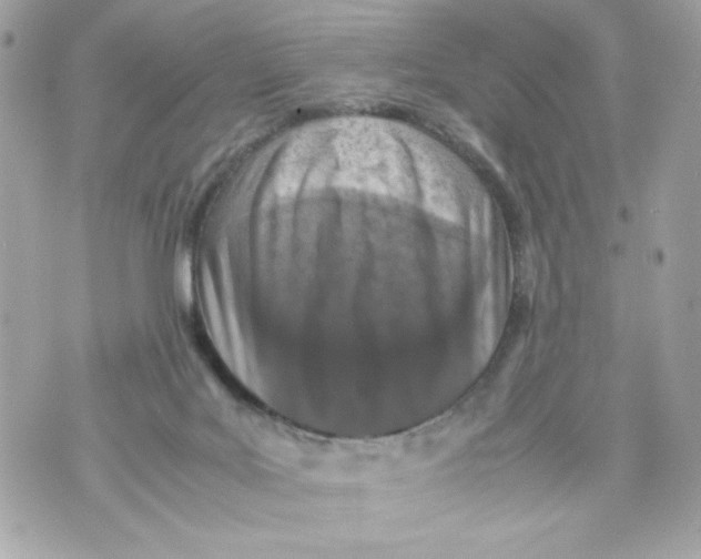 X0000070390027200607072230