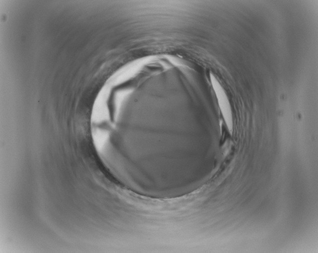 X0000070390035200607072230