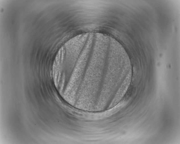X0000070390048200607072230