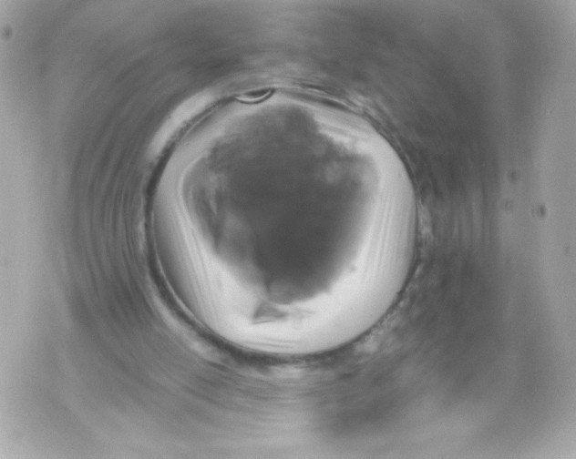 X0000070390054200607072229