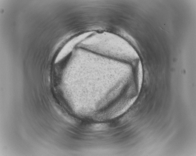 X0000070390059200607072229
