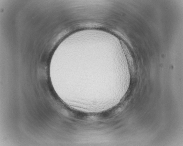 X0000070390111200607072229