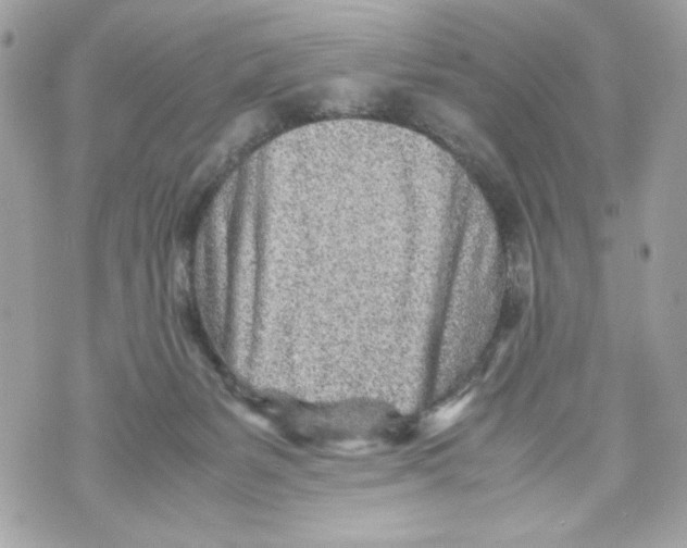 X0000070390127200607072229