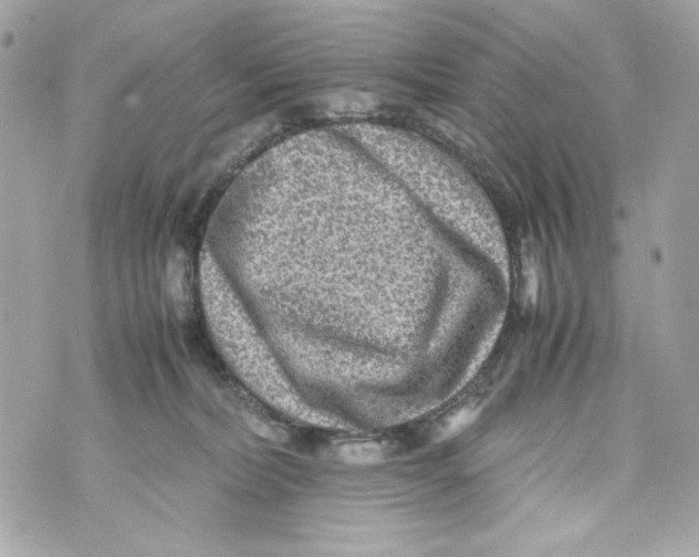 X0000070390228200607072227