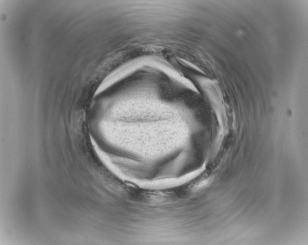 X0000070390229200607072227