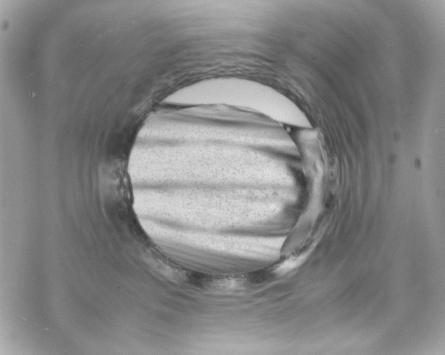 X0000070390237200607072227