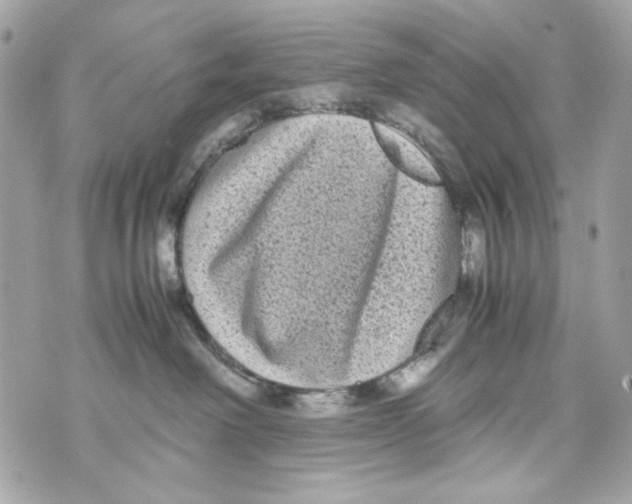 X0000070390238200607072227